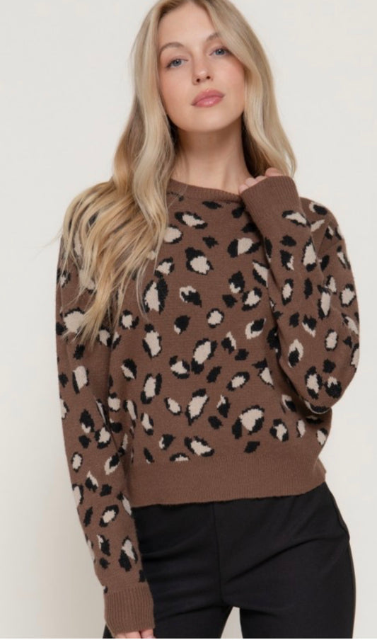 Leopard Sweater